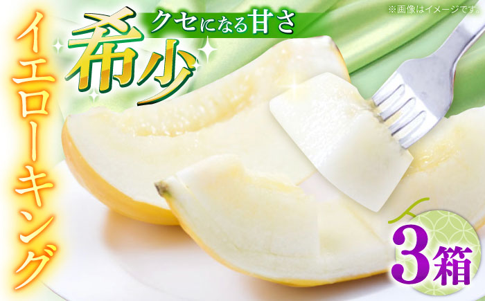 【2026年5月～発送】メロン イエローキング 3箱 （1箱 3～6玉）/ メロン めろん フルーツ 果物 / 南島原市 / 南島原果物屋 [SCV041]