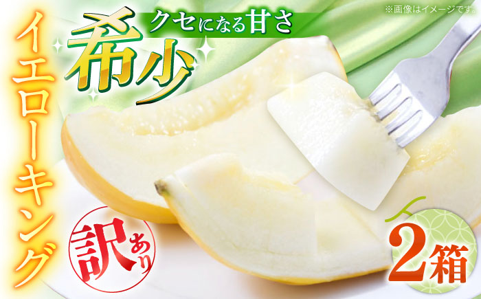 【2026年5月～発送】訳あり メロン イエローキング 2箱 （1箱 3～6玉）/ メロン めろん フルーツ 果物 / 南島原市 / 南島原果物屋 [SCV043]