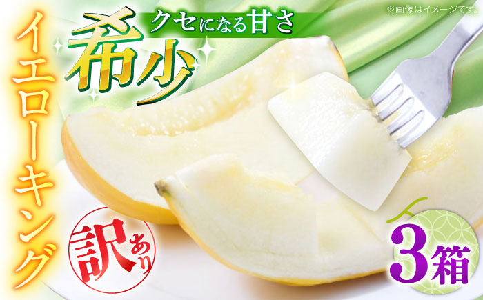 【2026年5月～発送】訳あり メロン イエローキング 3箱 （1箱 3～6玉）/ メロン めろん フルーツ 果物 / 南島原市 / 南島原果物屋 [SCV044]