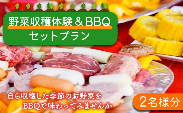 【体験チケット】野菜収穫体験とBBQ（2名様分） / 野菜 収穫 体験プラン 体験チケット バーベキュー BBQ / 南島原市 / ミナサポ [SCW016]