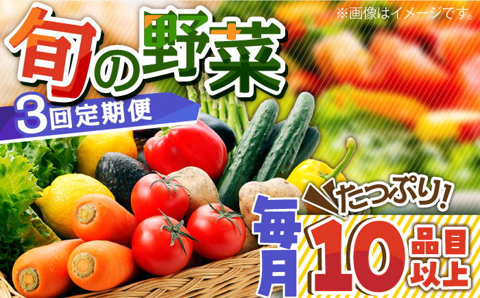 【3回定期便】地元農家さんが収穫した旬のお野菜  10種詰め合わせ / 旬 新鮮 採れたて 季節野菜 旬野菜 農家直送 野菜定期便 / 南島原市 / ミナサポ [SCW045]