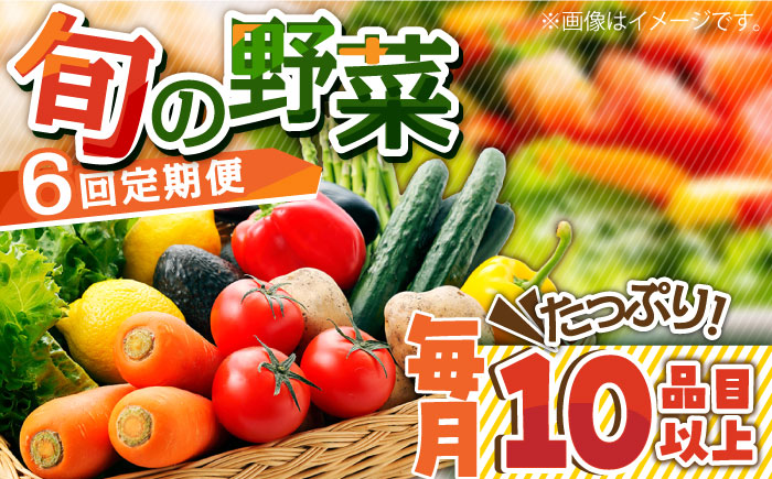 【6回定期便】地元農家さんが収穫した旬のお野菜  10種詰め合わせ / 野菜 旬 新鮮 採れたて 季節野菜 旬野菜 農家直送 野菜定期便 / 南島原市 / ミナサポ  [SCW046]