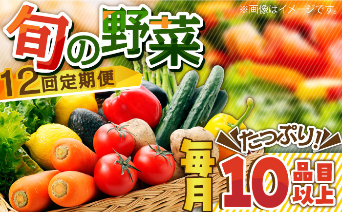 【12回定期便】地元農家さんが収穫した旬のお野菜  10種詰め合わせ / 野菜 旬 新鮮 採れたて 季節野菜 旬野菜 農家直送 野菜定期便 / 南島原市 / ミナサポ  [SCW047]