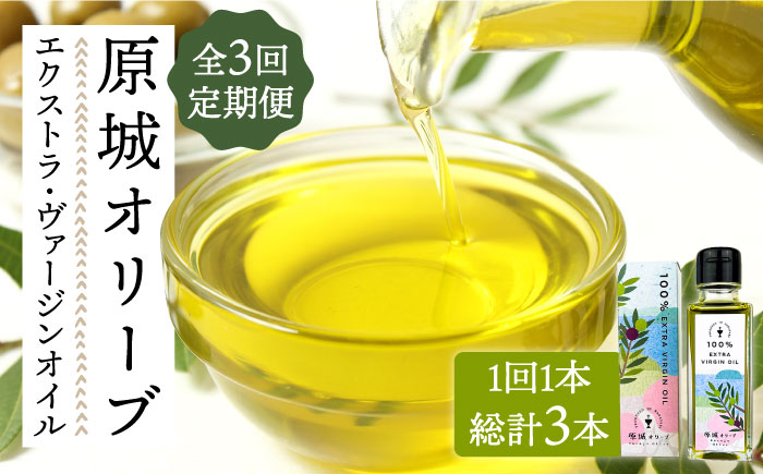 【3回定期便】 原城 オリーブ エクストラ・ヴァージンオイル  100ml 1本 / オリーブオイル オイル 油 調味料 / 南島原市 / ミナサポ [SCW054]