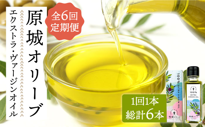 【6回定期便】 原城 オリーブ エクストラ・ヴァージンオイル  100ml 1本 / オリーブオイル オイル 油 調味料 / 南島原市 / ミナサポ [SCW055]