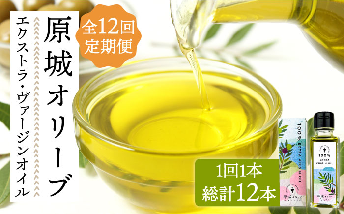 【12回定期便】 原城 オリーブ エクストラ・ヴァージンオイル  100ml 1本 / オリーブオイル オイル 油 調味料 / 南島原市 / ミナサポ [SCW056]