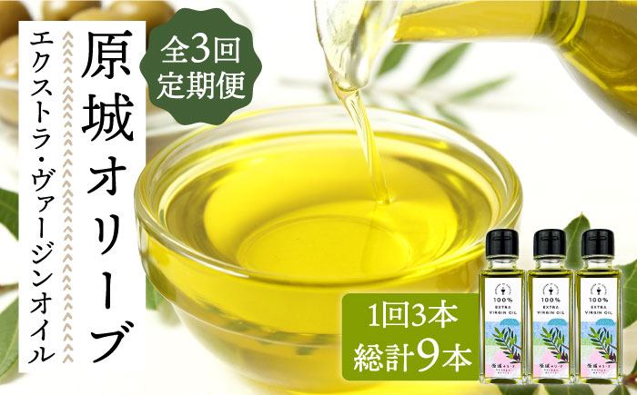 【3回定期便】 原城 オリーブ エクストラ・ヴァージンオイル  100ml 3本 / オリーブオイル オイル 油 調味料 / 南島原市 / ミナサポ [SCW057]