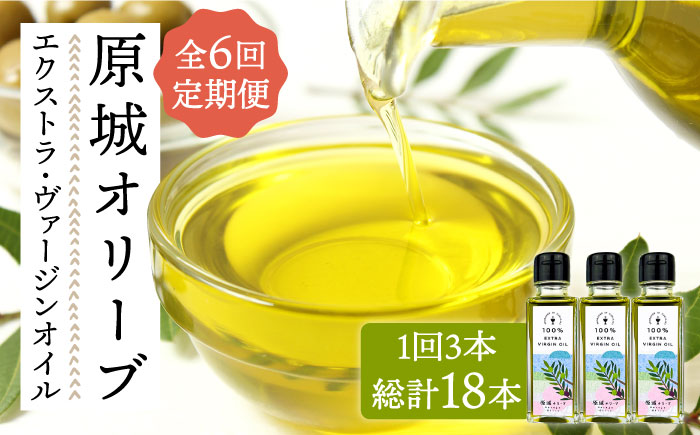 【6回定期便】 原城 オリーブ エクストラ・ヴァージンオイル  100ml 3本 / オリーブオイル オイル 油 調味料 / 南島原市 / ミナサポ [SCW058]