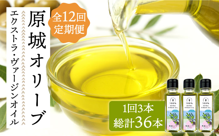 【12回定期便】 原城 オリーブ エクストラ・ヴァージンオイル  100ml 3本 / オリーブオイル オイル 油 調味料 / 南島原市 / ミナサポ [SCW059]