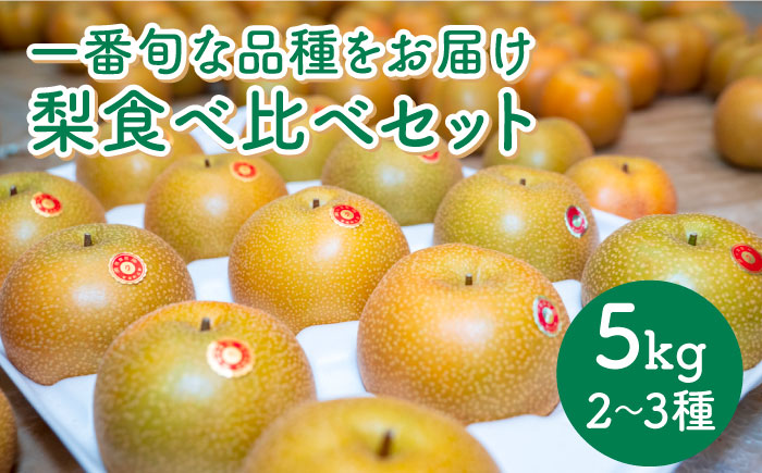 【2025年8月下旬～発送】梨 2種以上 食べ比べ セット 5kg / 豊水 秋麗 菊水 あきづき / フルーツ 果物  / 南島原市 / 松尾観光梨園 [SCX001]
