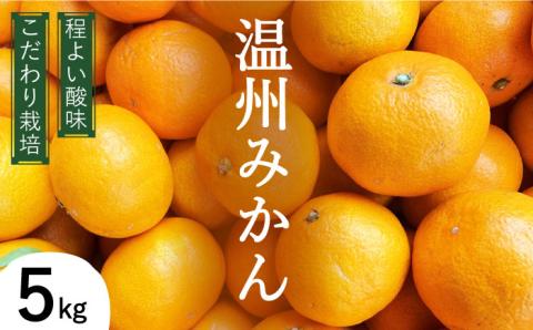 【2025年12月中旬～発送】温州みかん 5kg（2S～2L込） / みかん 南島原市 / 日野江 [SCY001]