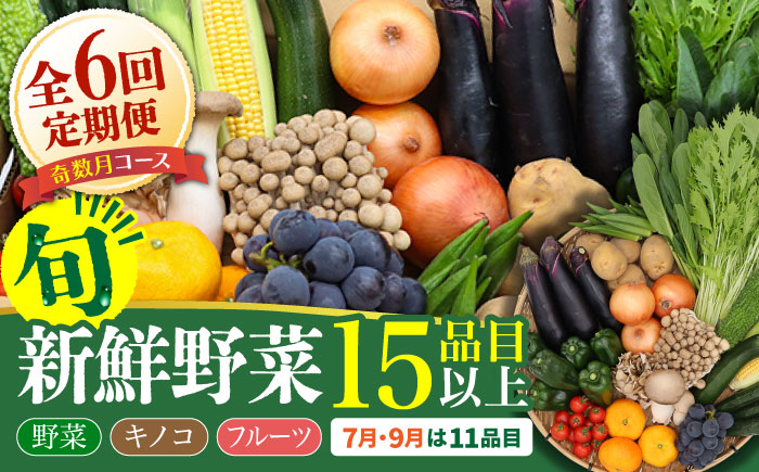 【6回定期便】【奇数月コース】豪華！野菜 セット 15品目以上 / 定期便 野菜 やさい 春野菜 夏野菜 秋野菜 冬野菜 旬 / 南島原市 / 吉岡青果 [SCZ002]