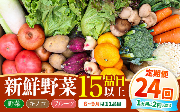 【毎月24回コース】豪華！野菜 セット 15品目以上 24回 定期便 / 野菜 フルーツ きのこ 詰め合わせ 南島原市 / 吉岡青果 [SCZ003]