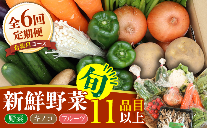 【6回定期便 奇数月コース】野菜 キノコ 果物 11品目 詰め合わせ / 野菜 春野菜 夏野菜 秋野菜 冬野菜 きのこ 旬 定期便 / 南島原市 / 吉岡青果 [SCZ005]