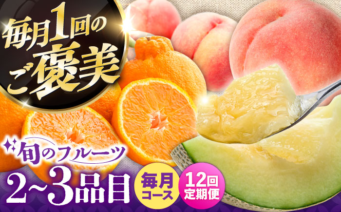 【12回定期便】＜2026年1月～初回発送＞フルーツ定期便 旬の果物をお任せで2～3品目お届け（2～3品目×12回）季節の果物 詰め合わせ 果物 セット / フルーツ 果物 春フルーツ 夏フルーツ 秋フルーツ 冬フルーツ /  南島原市 / 吉岡青果 [SCZ014]