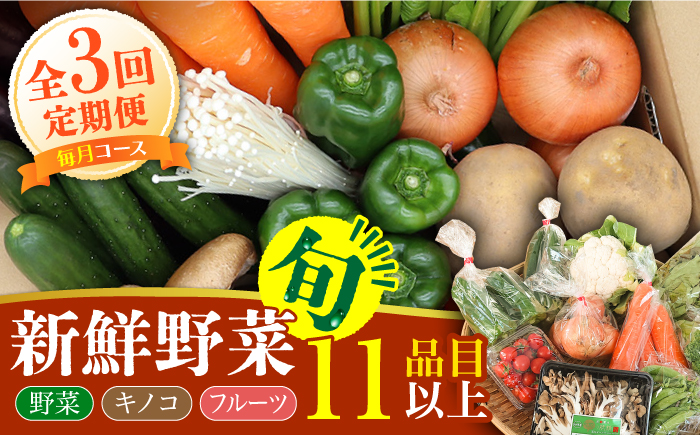 【毎月コース】野菜 キノコ 果物 11品目 詰め合わせ 3回定期便 / 野菜定期便 やさい定期便 きのこ セット 定期便 / 南島原市 / 吉岡青果 [SCZ022]