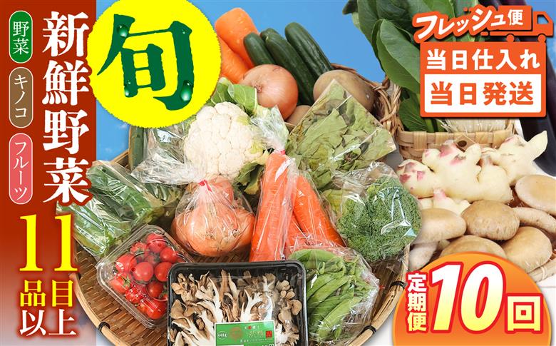 【毎月コース】野菜 キノコ 果物 11品目 詰め合わせ 10回 定期便  / 南島原市 / 吉岡青果 [SCZ036]