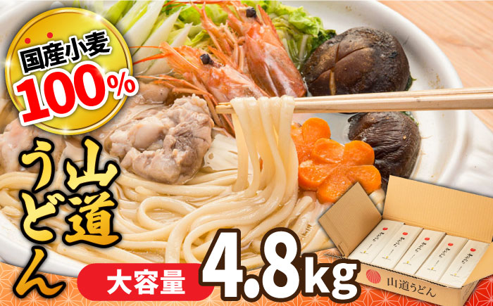 山道うどん 国産小麦100％ 160g×30袋 4.8kg / 乾麺 麺 / 南島原市/ そうめんの山道 [SDC011]
