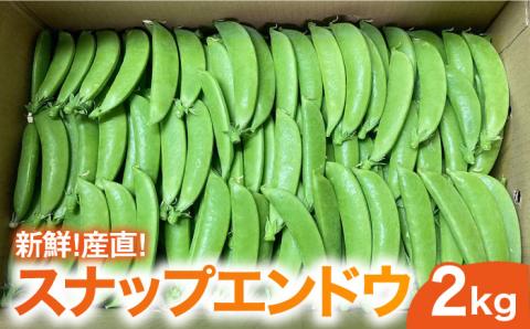 【新鮮！産直】 スナップエンドウ 2kg / 野菜 やさい / 南島原市 /  AOTASFARM [SDM001]