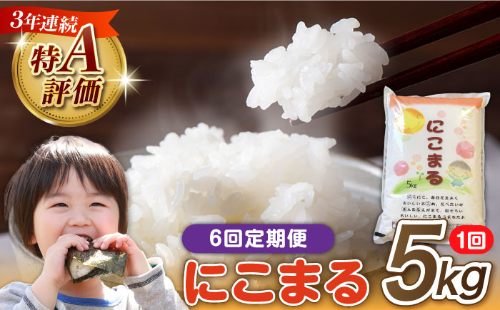 【6回定期便】 長崎県産 精米 にこまる 5kg 総計 30kg / 米 / 南島原市 / 大松屋商店 [SDR003]