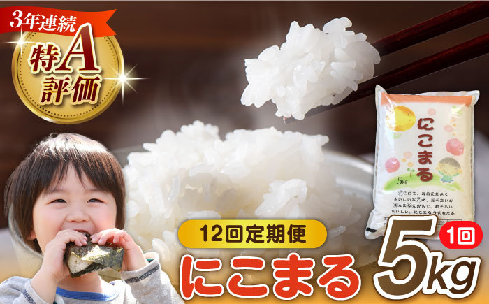 【12回定期便】 長崎県産 精米 にこまる 5kg 総計 60kg / 米 / 南島原市 / 大松屋商店 [SDR004]