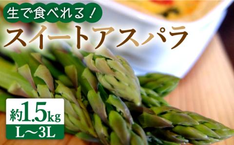 【生で食べられる】スイートアスパラ L～3L 約1.5kg / アスパラ あすぱら アスパラガス 3L 増田農園 アスパラガス 甘い / 南島原市 / 贅沢宝庫 [SDZ014]