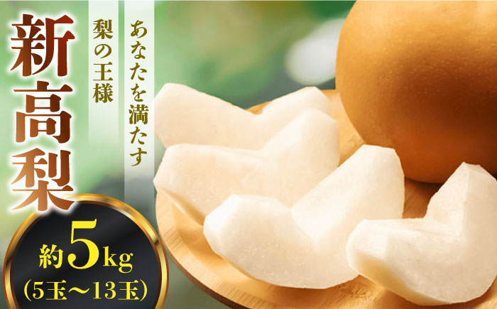 【2026年10月～発送】新高梨 約5kg 特大級 八木農園 / 南島原市 / 贅沢宝庫 [SDZ032]