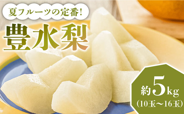 【2026年8月～発送】【口いっぱいのみずみずしさ！】豊水梨 約5kg 梨専門 八木農園 / 梨 なし ナシ / 南島原市 / 贅沢宝庫 [SDZ033]