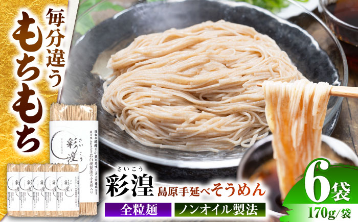 【田中製麺】彩湟（さいこう）全粒麺 ノンオイル製法 島原手延べそうめん 万能麺 170g×6袋 / 純国産 乾麺 パスタ 素麺 / 南島原市 / 贅沢宝庫 [SDZ040]