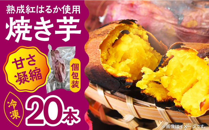 【数量限定】【ねっとり甘い熟成サツマイモ】冷凍焼き芋（紅はるか） 20本(S～M) / 小分け 個包装 / 南島原市 / 池田海陸物産 [SEW001]