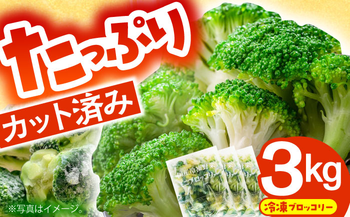 【2026年1月下旬～順次発送予定】たっぷり 冷凍 ブロッコリー 3kg（1kg × 3袋） / ブロッコリー ぶろっこりー 野菜 やさい 小分け 冷凍 / 南島原市 / 池田海陸物産 [SEW007]