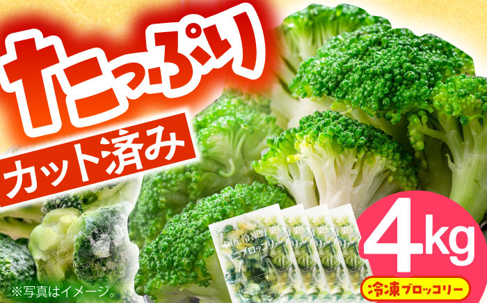 【2026年1月下旬～順次発送予定】たっぷり 冷凍 ブロッコリー 4kg（1kg × 4袋） / ブロッコリー ぶろっこりー 野菜 やさい 小分け 冷凍 / 南島原市 / 池田海陸物産 [SEW008]