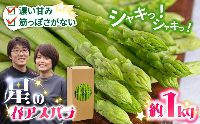 【2026年3月～発送】【数量限定】甘い！柔らかい！厳選 グリーン アスパラガス 約1kg / 採れたて 新鮮 旬 産地直送 野菜  3L・2L・L・Mサイズ  ミックス / 南島原市 / ほしのYA [SEY001]