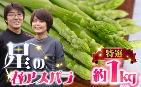 【2026年3月～発送】【星のアスパラ】特選 3L・2L・L 春 の グリーン アスパラガス 約1kg / アスパラ アスパラガス 野菜 / 南島原市 / ほしのYA [SEY005]
