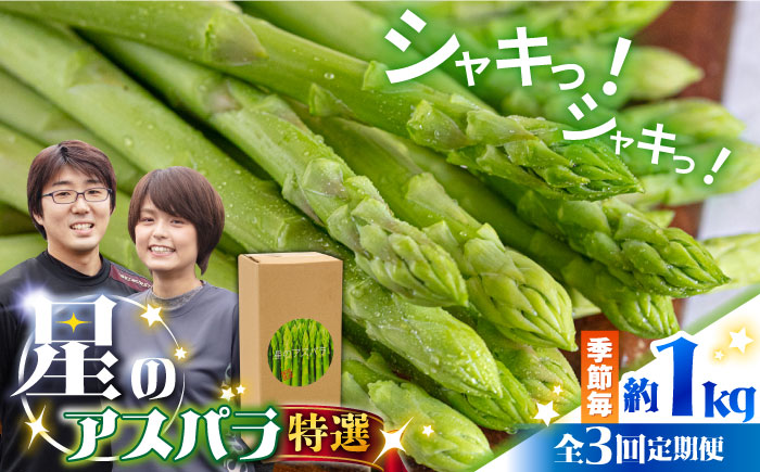 【3回定期便】【星のアスパラ】春・夏・秋 の グリーン アスパラガス 約1kg / アスパラ 野菜 / 南島原市 / ほしのYA [SEY013]