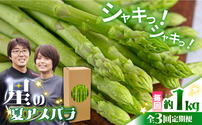 【3回定期便】【星のアスパラ】夏のグリーンアスパラガス 約1kg / アスパラ 野菜 / 南島原市 / ほしのYA [SEY014]