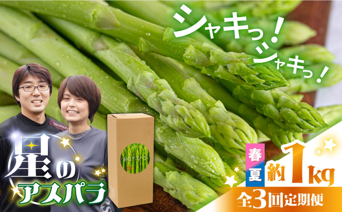 【3回定期便】【星のアスパラ】春・夏 の グリーン アスパラガス 約1kg / アスパラ 野菜 / 南島原市 / ほしのYA [SEY016]