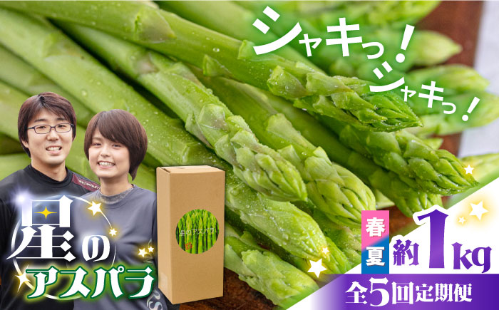 【5回定期便】【星のアスパラ】春＆夏 の グリーン アスパラガス 約1kg / アスパラ 春野菜 野菜 / 南島原市 / ほしのYA [SEY017]