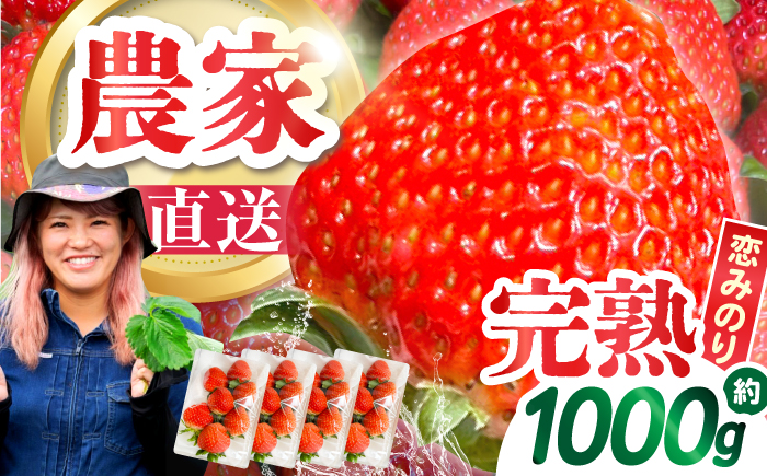 【2026年1月～発送】南島原産 いちご 『恋みのり』約250g×4パック / フルーツ 果物 / 南島原市 / あゆみfarm [SFF001]
