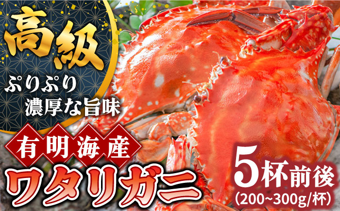【2026年7月〜発送】【数量限定】有明海のワタリガニ 200g～300g×5匹前後 / 南島原市 / 長栄丸水産 [SFM001]