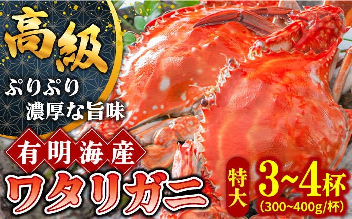 【2026年7月〜発送】【数量限定】有明海の厳選ワタリガニ 特大サイズ 300g～400g×3～4匹 / 南島原市 / 長栄丸水産 [SFM002]