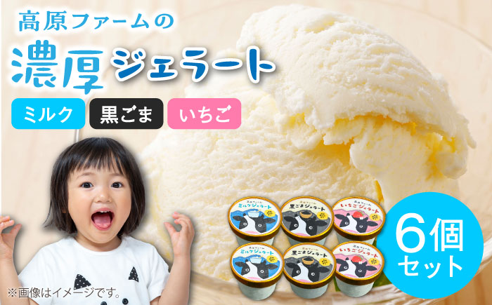 【2025年12月～発送】【濃厚ミルク】ジェラート ミルク2個 黒ゴマ2個 いちご2個 計6個入り / アイスクリーム スイーツ / 南島原市 / 高原ファーム [SFP003]