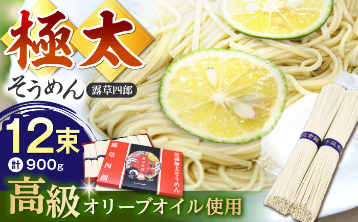 原城 極太そうめん 露草四朗 900g（75g×12束） /  手延べ 麺 / 南島原市 / 銀之霊泉 [SFW002]
