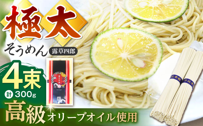 原城 極太そうめん　露草四朗　300ｇ（75ｇ×4束）/ 手延べ 麺 / 南島原市 / 銀之霊泉 [SFW003]