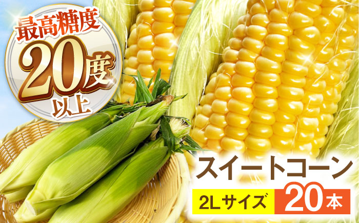 【2026年6月～発送】【最高糖度20度以上！】とうもろこし 2Lサイズ 20本 / ゴールドラッシュネオ トウモロコシ コーン スイートコーン / 南島原市 / 三和サービス株式会社 [SGB009]