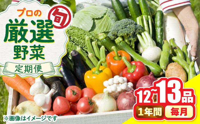 【12回定期便】野菜のプロが選ぶ 旬の野菜セット 12～13品目 野菜定期便 / 野菜 やさい セット 新鮮 / 南島原市 / 愛2農園 [SGG001]