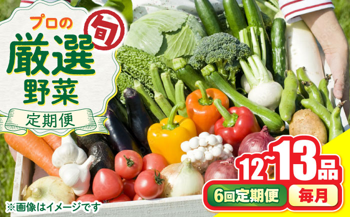【6回定期便】野菜のプロが選ぶ 旬の野菜セット 12～13品目 野菜定期便 / 野菜 やさい セット 新鮮 / 南島原市 / 愛2農園 [SGG003]