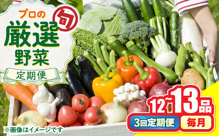 【3回定期便】野菜のプロが選ぶ 旬の野菜セット 12～13品目 野菜定期便 / 野菜 やさい セット 新鮮 / 南島原市 / 愛2農園 [SGG004]