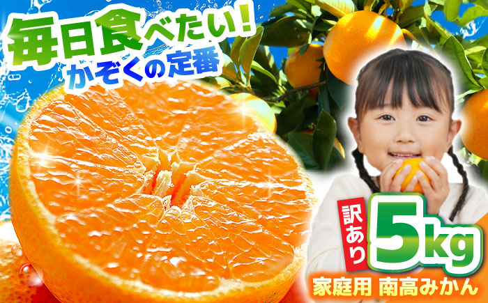 【2025年12月中旬～発送】【訳あり】家庭用 南高みかん 5kg / みかん ミカン 蜜柑 果物 フルーツ / 南島原市 / 南高果樹農業協同組合 [SGI001]