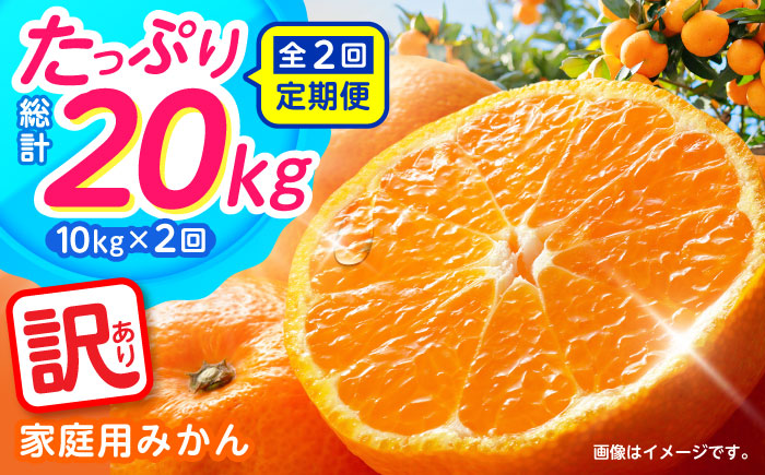 【2回定期便】家庭用 みかん 約10kg（計約20kg） / ミカン 蜜柑 果物 フルーツ / 南島原市 / はじめ農園 [SGK004]